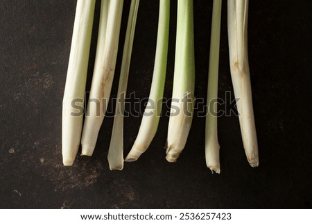 A top down view of a the bottom portion of lemongrass stalks.