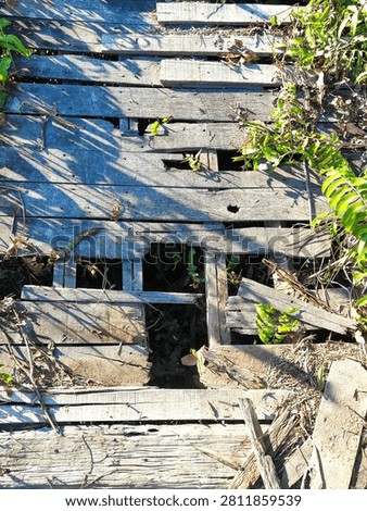 Top down view of a damaged and broken old wooden bridge with missing and rotten planks, holes and overgrown green vines and leaves. Weathered grey wood texture with sunlight and shadows, concept of decay, abandonment, danger, and old infrastructure in a rural tropical area.