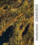 Top Down View Drone Shot Of Wetland Bog Hiking Trail With Bog Lakes At Sunrise