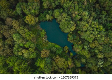 A top down view of an English countryside woodland area