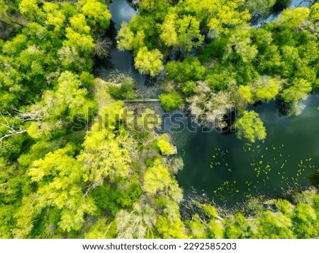 Top down view of a famous nature reserve in the UK showing lush woodlands and a fresh water river.