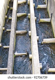 Top Down View Of A Fish Ladder