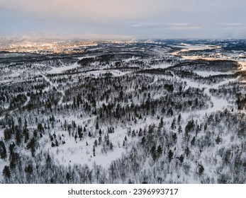 Top down view of the forest in winter and city murmansk. Winter landscape in the forest. Flying over winter fir forest. Top down view of high snowy trees. Trees in the snow. Frosty forest. Nature
