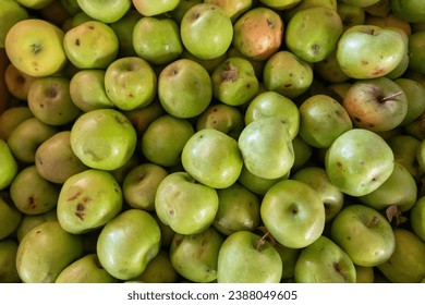 Top down view of a group of fresh green apples on display at a farmers market in autumn. - Powered by Shutterstock