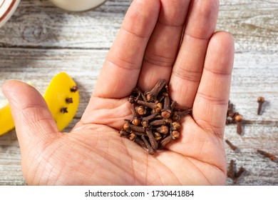 A Top Down View Of A Hand Holding Several Pieces Of Dried Clove.