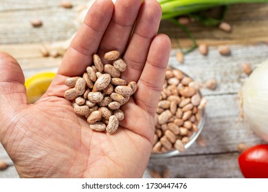 A Top Down View Of A Hand Holding Several Raw Pinto Beans.