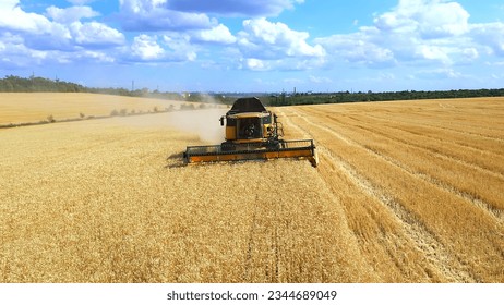 Top down view of Harvester machines working in wheat field . Combine agriculture machine harvesting golden ripe wheat field. - Shutterstock ID 2344689049