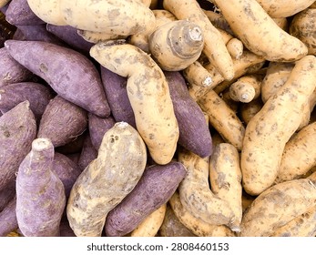 A top down view of a large pile of assorted fresh raw sweet potatoes and purple yams.