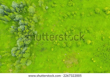 Top down view on exotic winding river flows through green wetlands. Birds eye view of zig-zag creek. Ukraine, Europe. Cinematic aerial shot. Discover the beauty of earth. Filmed in 4k, drone video.