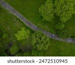 A top down view over a field with green grass and green trees on a cloudy day. There is a single dirt path through the aerial photo.