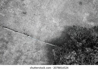 Top down view over a tree and fence on rural property, rendered in black and white