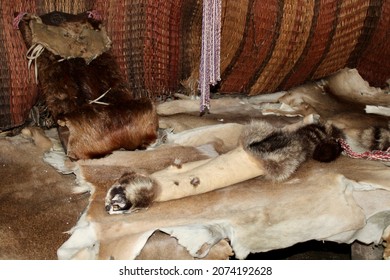 The top down view of a pile of fur pelts of an array of different animals including white tailed deer, racoons, skunks, and bears.