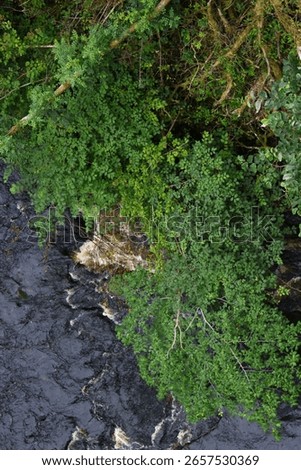 top down view of a river side in colour portait view 