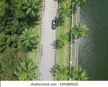 Top Down View Of Road, Palm Tree And Lake Beside Of The Road.