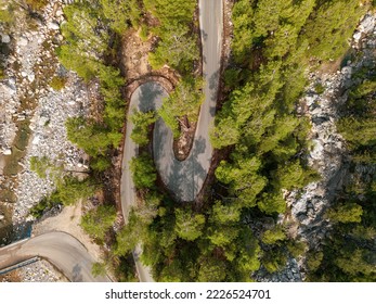 Top down view of road through forest at sunrise