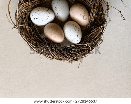 Top down view of a rustic nest with multi colored eggs on grey surface. Natural bird nest with white and brown speckled eggs, a classic symbol for Easter (Ostern). Seasonal blog headers, food photography backgrounds, and holiday branding.