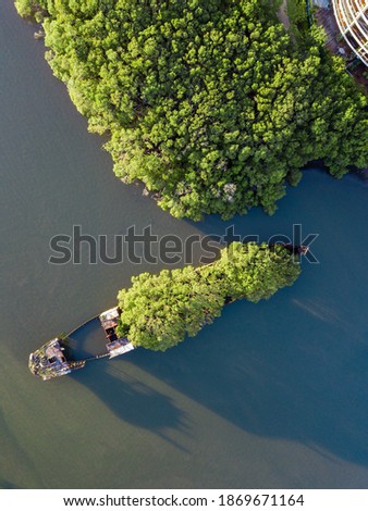 Top down view of shipwreck with trees on it at Homebush Bay, Sydney, Australia.