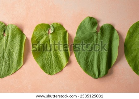 A top down view of some hoja santa leaves.
