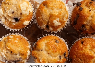 A top down view of some mini muffins in a package.
