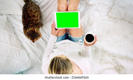 Top down view of a woman sitting on the bed holding a tablet device looking at the blank green screen. Bengal cat sitting nearby.