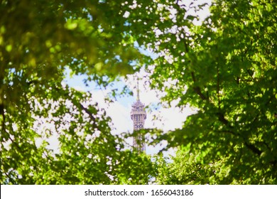Top of the Eiffel tower seen through green leaves on a summer day in Paris
