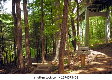 Top Of Fisherman's Trail At Roanoke River