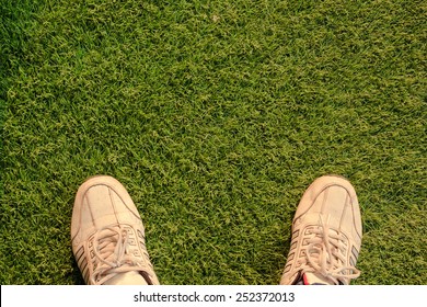 Top Foot Grass Unique Perspective