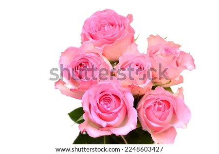 Top half dozen of pink rose bouquet