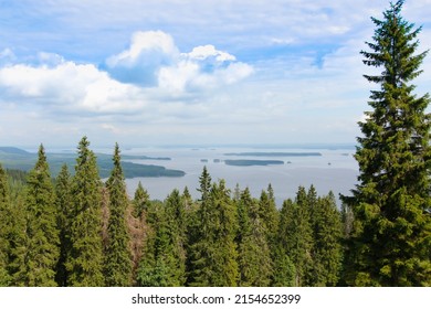 Top Of The Lake Pielinen