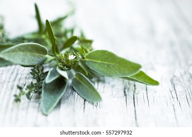 Top shot of Mediterranean herbs, different thyme branches, minimal food style concept, on rustic wooden white table, selectiv focus, space for text, close up  - Powered by Shutterstock