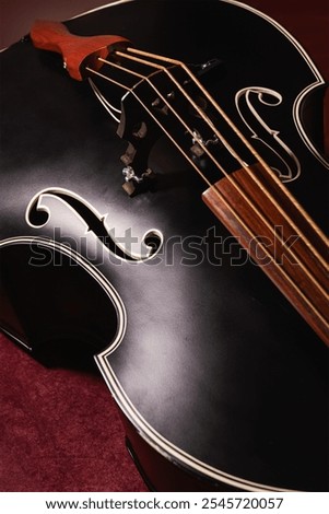 Top side view of a ¾ double bass showing resonant body, fingerboard, strings, f-holes, bridge, tailpiece, and the side. Concept for music, double bass, rockabilly, rock 'n' roll, and jazz
