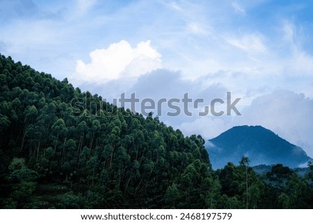 Top Station, located in Munnar, is the highest point, The place falls on the Kerala-Tamil Nadu border. Here you can enjoy the panoramic view of Western Ghats and the valley of Theni district.