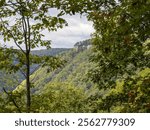 At the top of a steep mountainside, cliffs line the Endless Wall Trail in New River Gorge National Park, West Virginia, creating breathtaking views over rugged terrain.