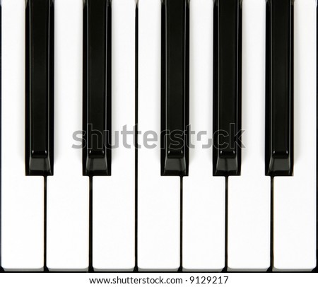 Top vew of one octave section of piano keyboard