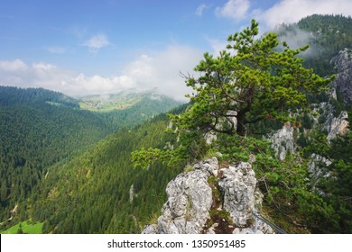 The Top Of Via Ferrata Astragalus, Romania, Europe