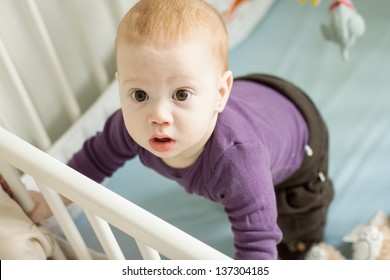 Top View Of Adorable Baby Boy Trying To Stand Up In His Cot