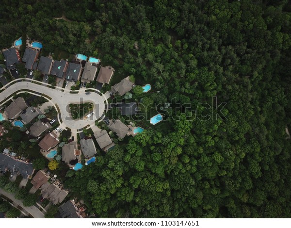 Top\
view aerial drone image of residential suburban houses backing onto\
a lush healthy green forest ravine on a summer\
day.
