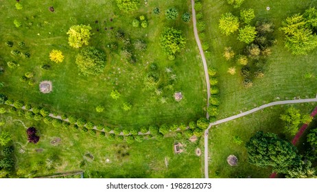 Top View Aerial Photo From Flying Drone Of A City Park With Walking Path And Green Zone Trees In Evening Time. Urban Park With Meadow, Trees And Paths.