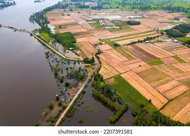 Top view Aerial photo from flying drone.Flooded rice paddies.Flooding the fields with water in which rice sown by natural calamity.View from above  graphics of agricultural plot  background.