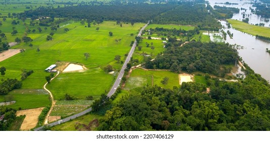 Top View Aerial Photo From Flying Drone Over Beautiful Green Rice Field And Village From Above.The Road Passes Through Small Villages And Leads To Green Rice Fields.