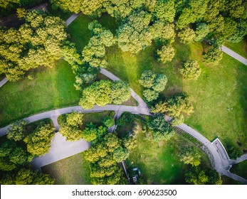Top view aerial photo from flying drone of a city park with walking path and green zone trees in evening time