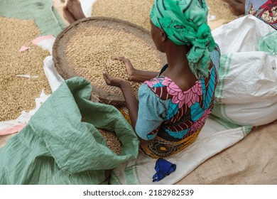 Top View Of Africam American Woman Sitting On The Floor And Sorting Coffee Beans At Farm In Region Of Rwanda