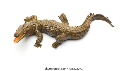 Top View Aligator Toy On A White Background