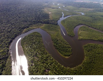 Top View Of Amazon Rainforest, Brazil