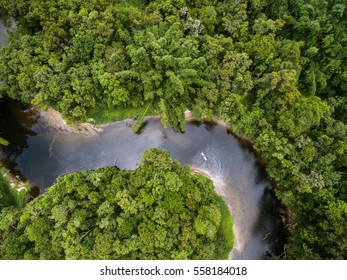 Top View Of Amazon Rainforest, Brazil