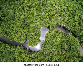 Top View Of Amazon Rainforest, Brazil