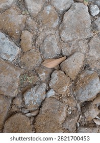 Top view of ancient rustic stone pavement covered with dry moss and fallen autumn leaves
