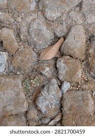 Top view of ancient rustic stone pavement covered with dry moss and fallen autumn leaves