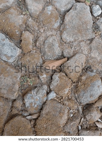 Top view of ancient rustic stone pavement covered with dry moss and fallen autumn leaves