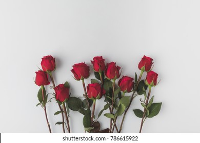 Top View Of Arranged Red Roses Isolated On White